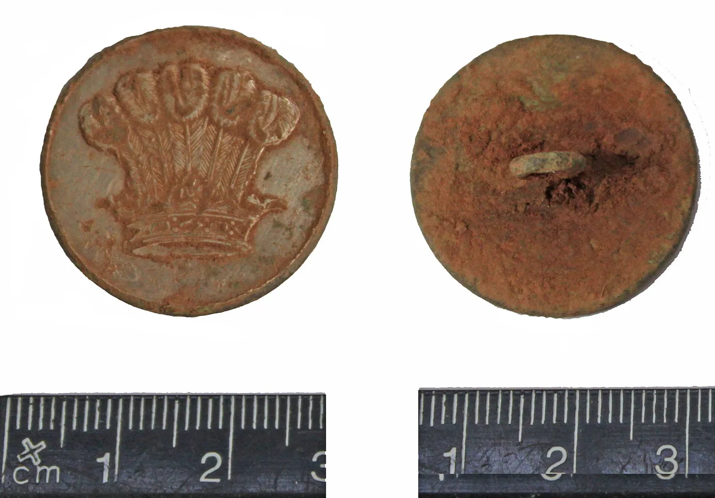 Front and back of a silvered livery button, the front struck with a ducal coronet and five ostrich feathers, the back corroded with an applied loop shank at its centre, both photographed beside a centimetre scale