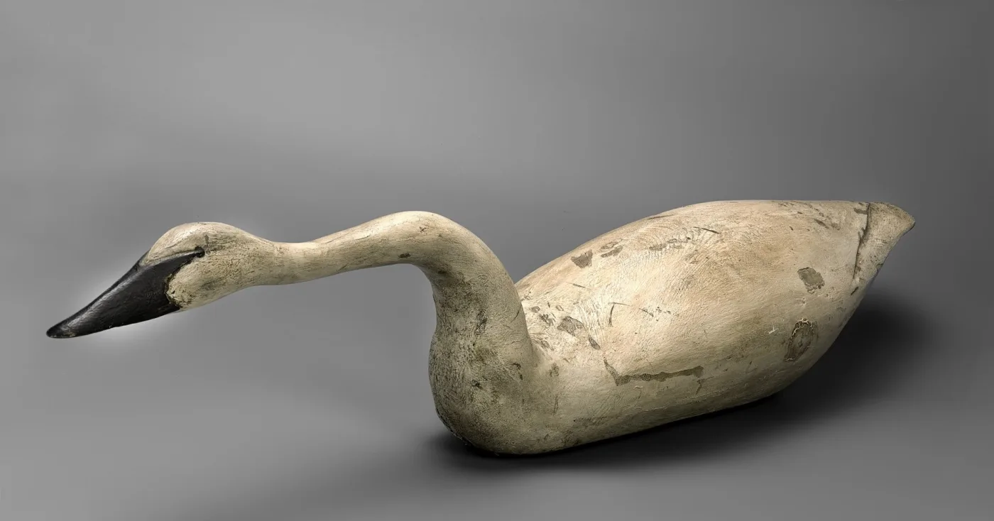 Large white-painted wooden swan decoy from Delaware with a long curved neck, black bill and a plain hollowed body