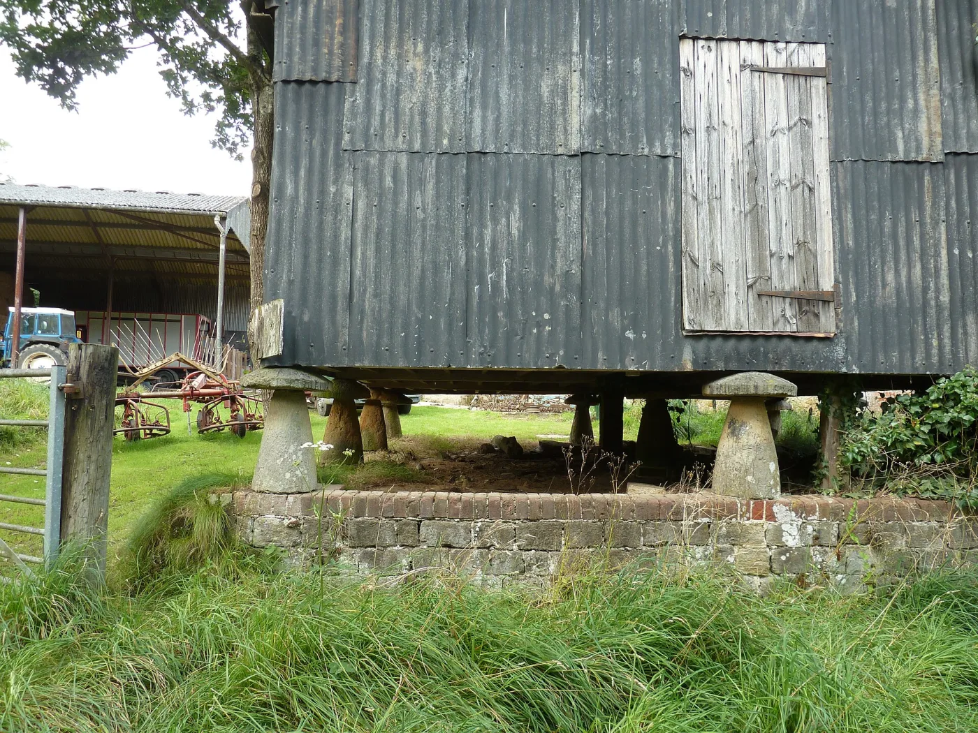 Corrugated iron granary raised about a metre off the ground on eight mushroom-shaped stone supports, in a working farmyard with a tractor behind