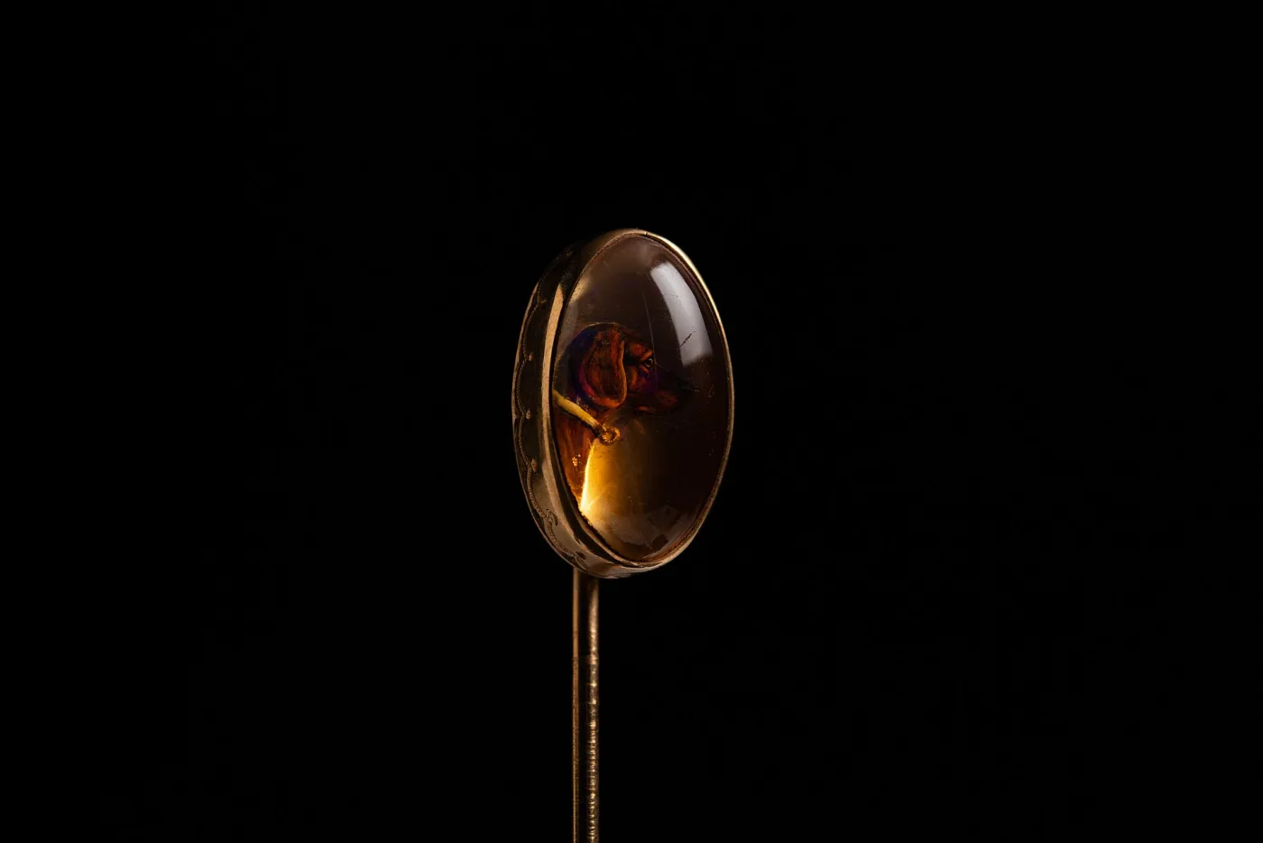 Oval domed transparent hat pin head with a painted brown dog's head visible beneath it, in a plain gold rim on a gold shaft