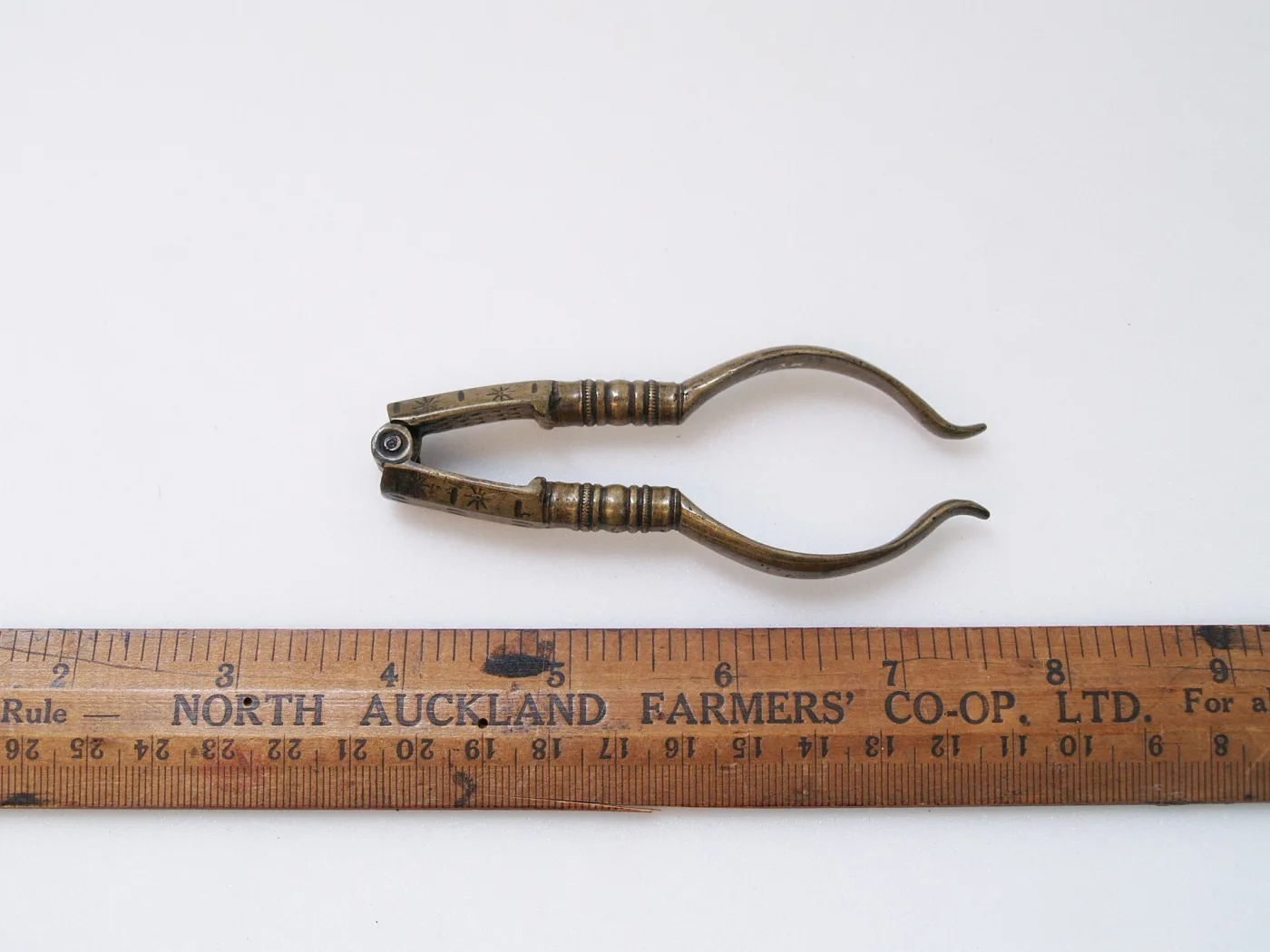Small brass nutcracker with shaped curved handles lying above a wooden shop rule marked in inches and centimetres