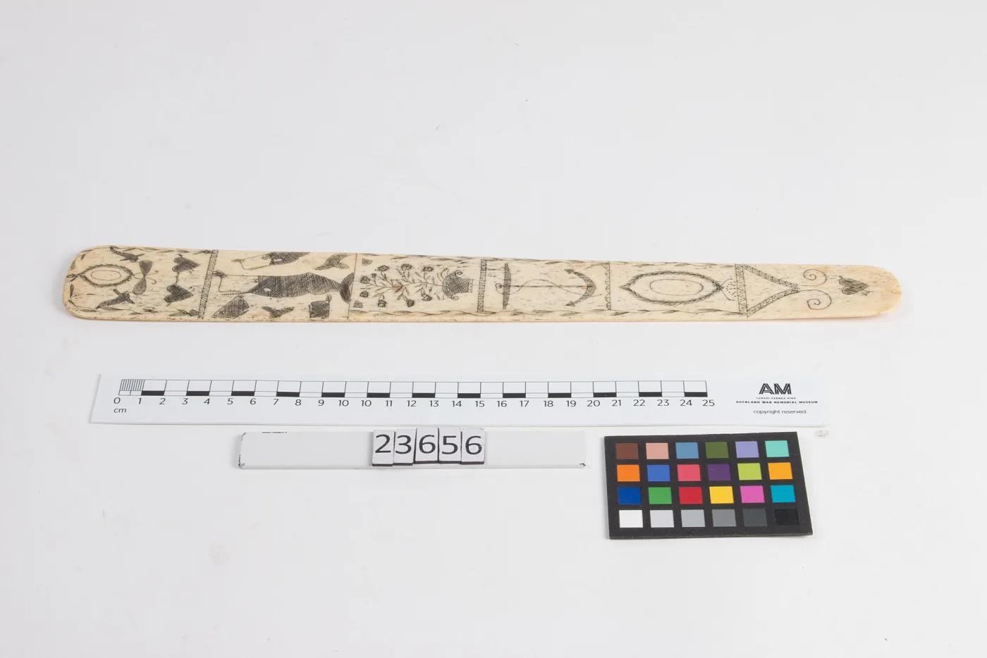 Whalebone busk photographed twice, once plain and once beside a printed colour reference chart and a ruled scale bar carrying a catalogue number