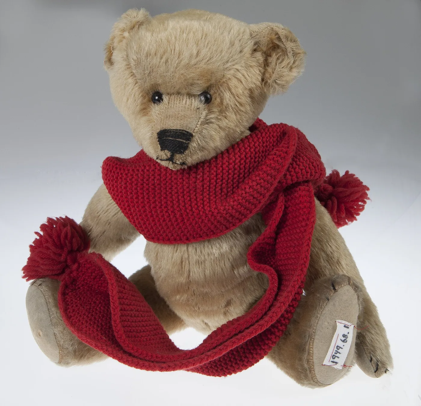 Beige mohair Steiff teddy bear of 1904 to 1905 seated, with black shoe-button eyes, a long stitched muzzle, felt paw pads and a museum accession tag tied to one foot, wearing a modern red knitted scarf