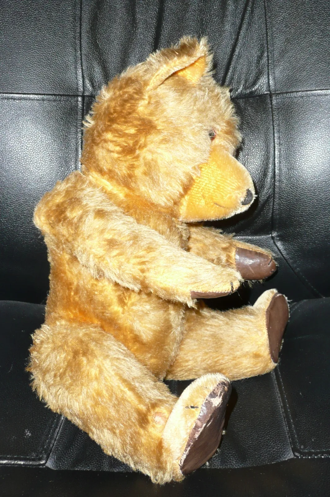 Side view of a golden mohair jointed teddy bear on a dark leather chair, its profile showing a firm barrel body, a shaped muzzle and worn dark pads on the paws and feet