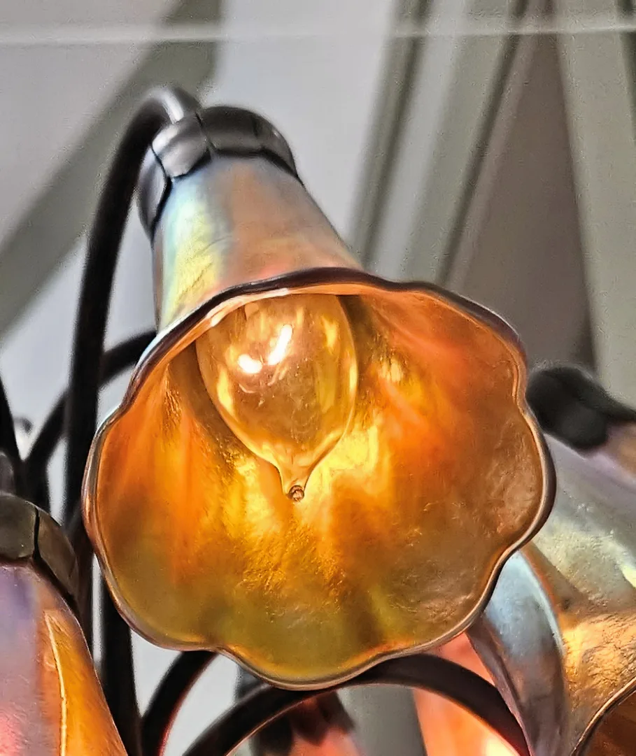 Close view of a single lit lily-shaped Favrile glass shade hanging from a bronze stem, its trumpet flaring towards the viewer with iridescent gold and pink shading through the glass